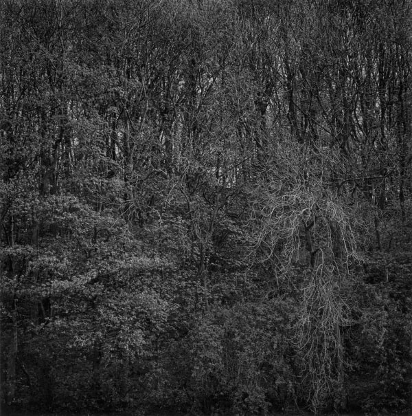 Paul Hart, May II, 2020-2024