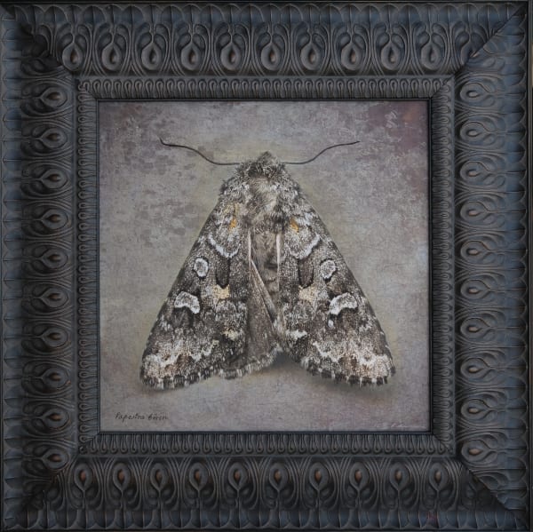 Kate Breakey, Papesta biren, n.d.