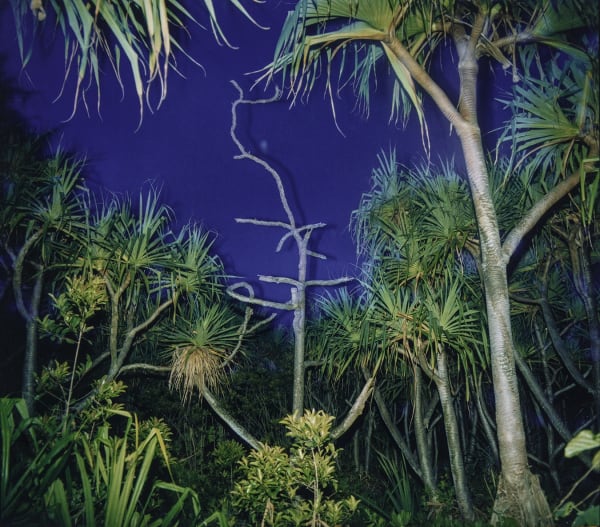 Richard Misrach, Untitled, from the Hawaii Portfolio, 1978