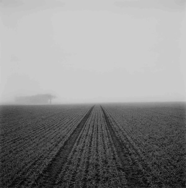 Paul Hart, October I, 2020-2024