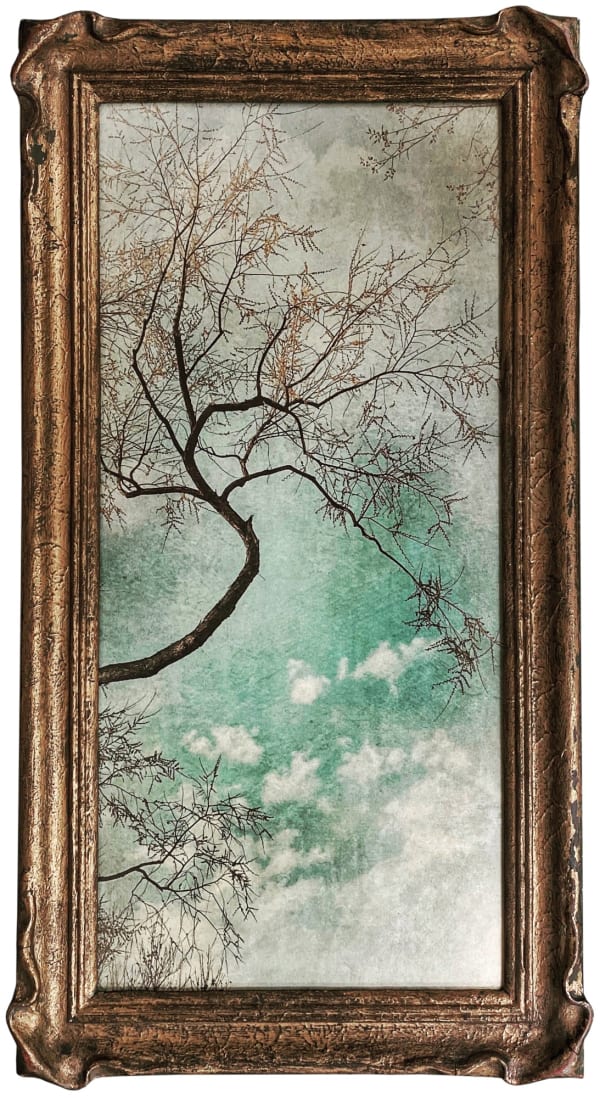 Wendi Schneider, Refuge, 2020