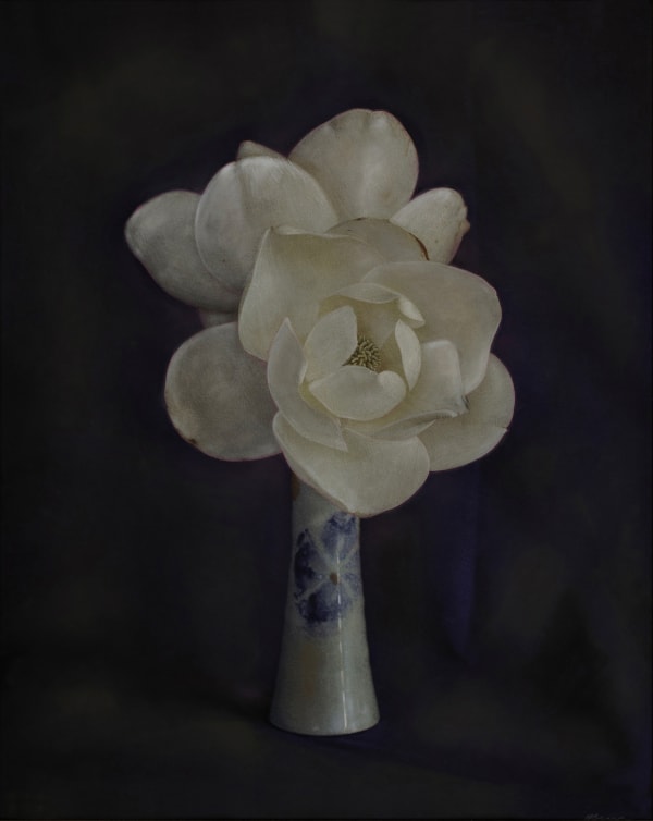 Kate Breakey Two Magnolia, n.d.