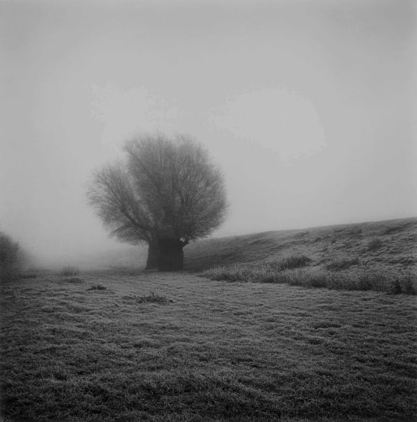 Paul Hart, March VI, 2020-2024