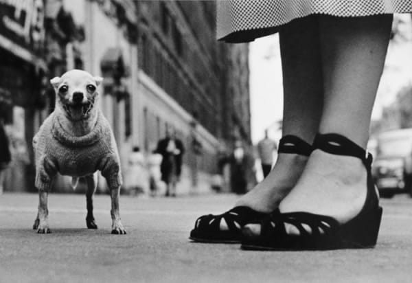 Elliott Erwitt, New York City, 1946