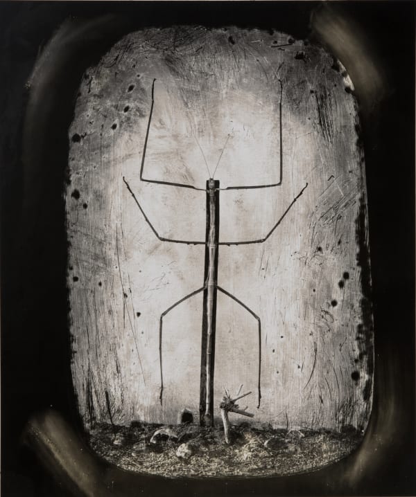 Joel-Peter Witkin, Insects Reenacting the Crucifixion, 2015