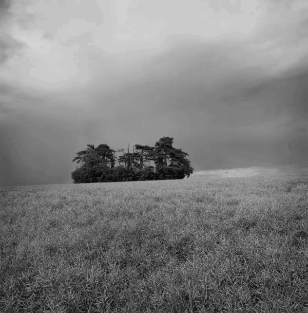 Paul Hart, August I, 2020-2024