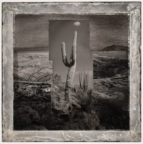 Michael P. Berman Inferno Saguaros #17, 2024