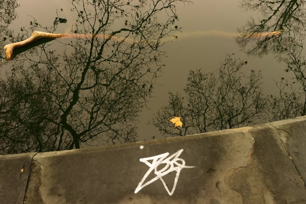 Rebecca Norris Webb, Star, Prospect Park, 2015