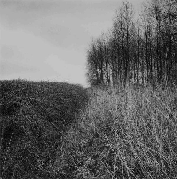 Paul Hart, January II, 2020-2024