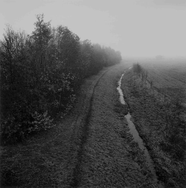 Paul Hart, November III, 2020-2024