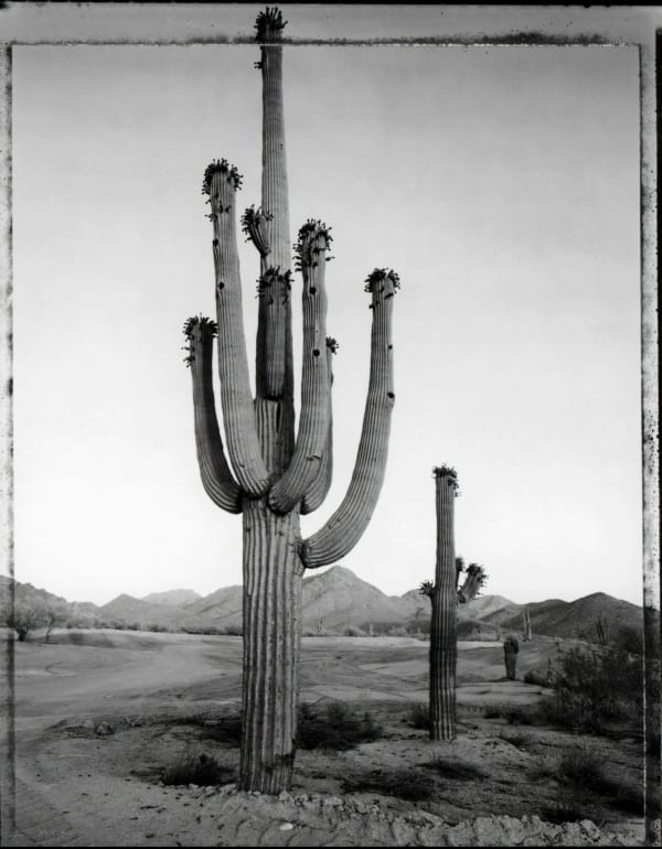 Mark Klett, Longest day: Last Light of the solstice, Carefree, AZ, 6/21/84, 1984