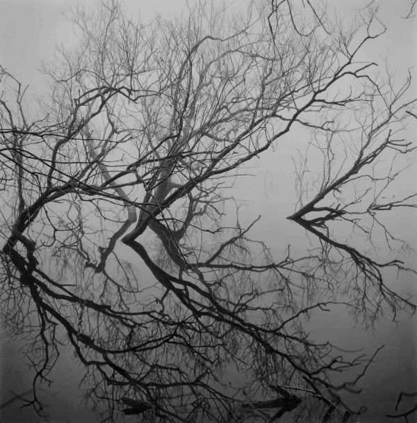 Paul Hart, December IV, 2020-2024