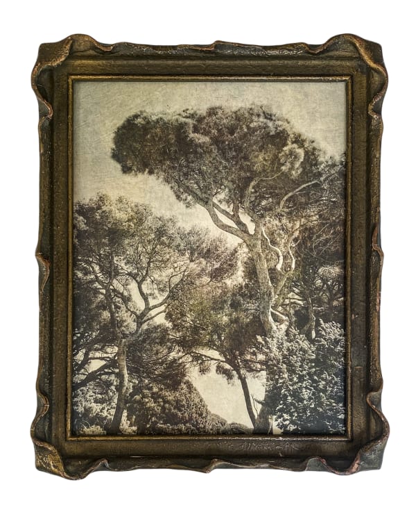 Wendi Schneider, Mandelieu, 2019