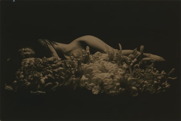 Yamamoto Masao, Tomosu #6010