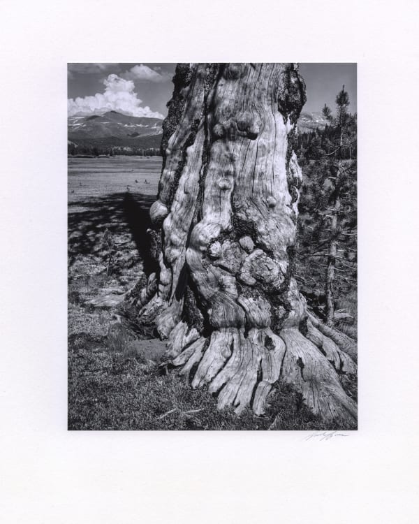 Ansel Adams, Tuolumne Meadows, Yosemite National Park, California, 1941