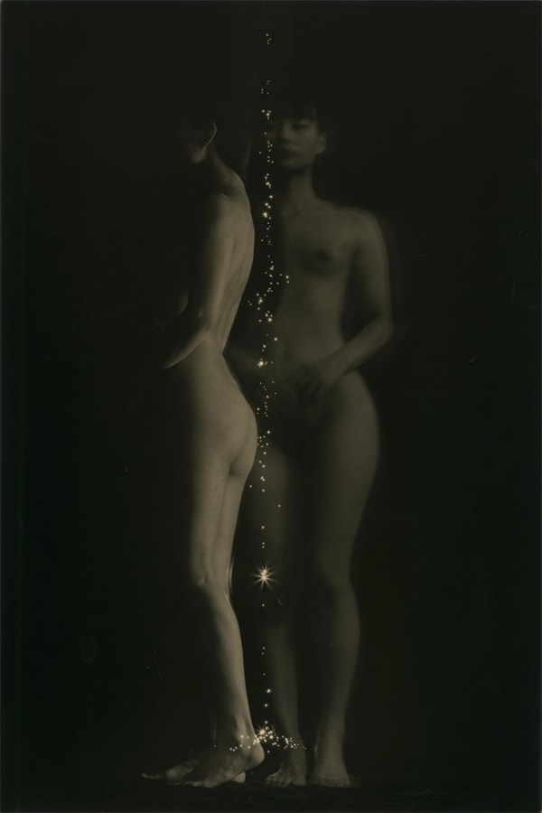 Yamamoto Masao, Tomosu #6011