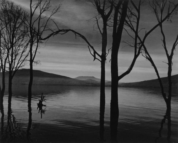 Brett Weston, Lake Patzcuaro, Mexico, 1973