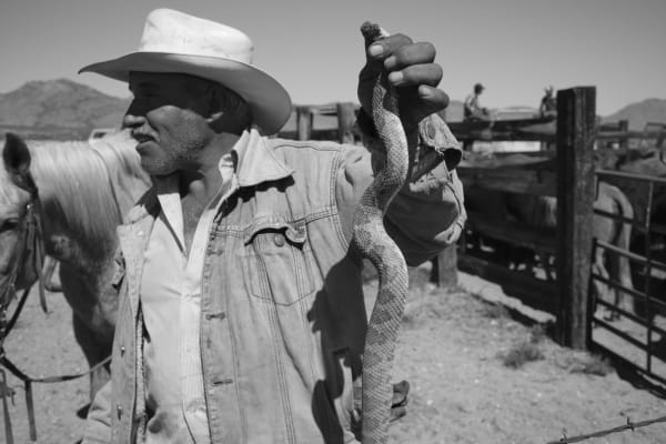 Michael P. Berman Cowboy and Snake, 2015, from Perdido, 2015