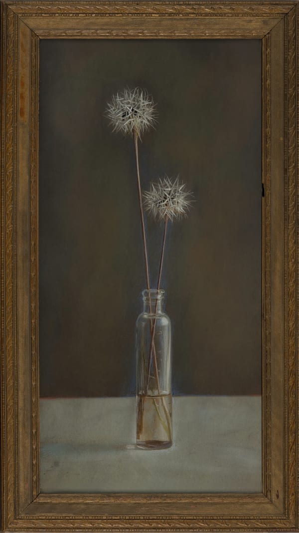 Kate Breakey Microseris in a Bottle, n.d.