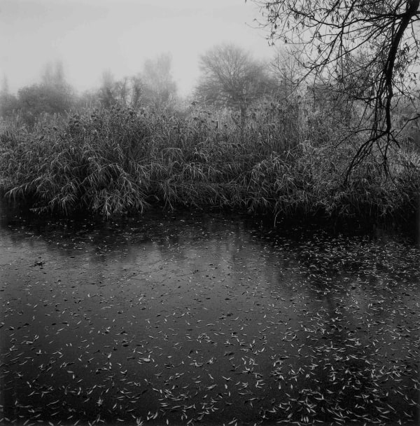 Paul Hart, December III, 2020-2024