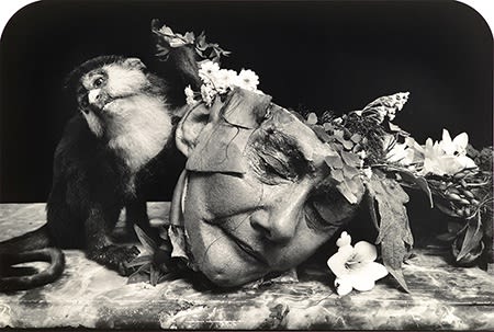 Joel-Peter Witkin, "Face of a Woman, Marseilles," 2004, toned silver gelatin print, 30 x 40”