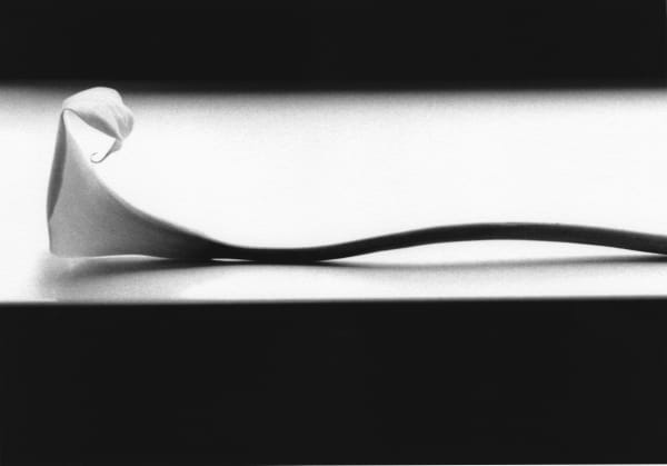 STILLS & IMPRESSIONS B&W