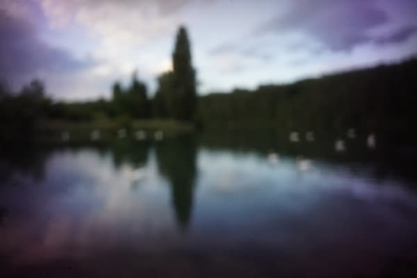 "Schwanensee", July, 2022