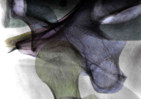 My Inner Body Landscape, October, 2025