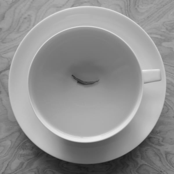 Good morning! Winterthur. June, 2020