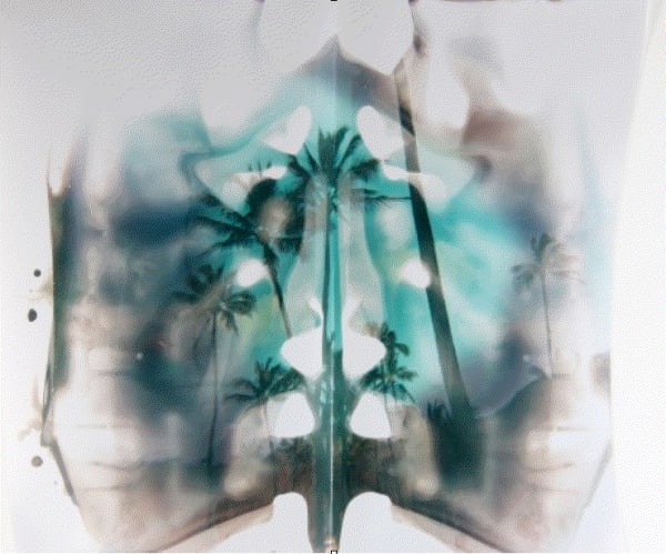 Camera Not Required Unconventional and cameraless photography