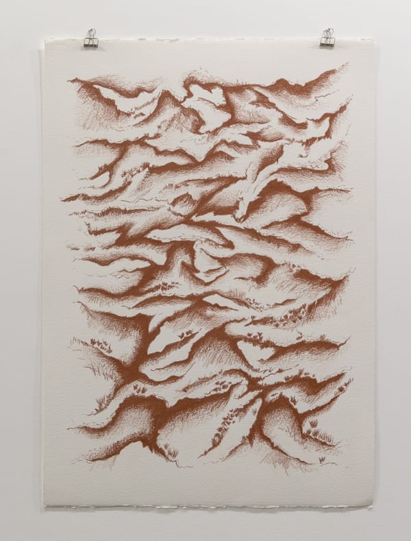 Raya Kassisieh, Red succulent love between hard rock mountain terrain, 2022, Sanguine lead oil on cold pressed paper, 107x75cm