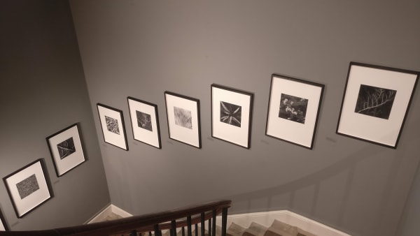 Img 20190607 163605