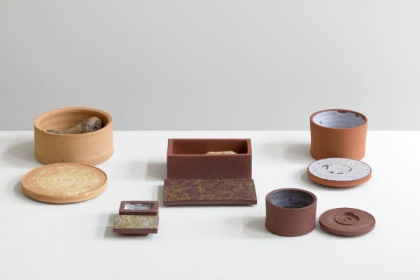 The Extinction Collection with Explorers Against Extinction