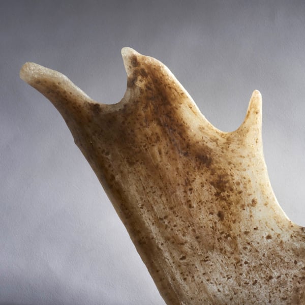 View our exhibition 'Owners of the Soil'