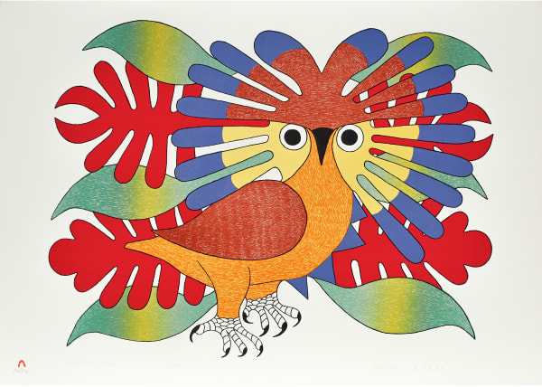 LOT 13 KENOJUAK ASHEVAK, C.C., R.C.A. (1927-2013) KINNGAIT (CAPE DORSET) Theo Waddington Commissioned Portfolio of Lithographs, 1979 the full suite of 12 lithographs, contained in the cloth-covered portfolio. each: 22 1/4 x 30 3/4 in (56.5 x 78.1 cm) ESTIMATE: $ 10,000— $15,000 Price realized: $13,200