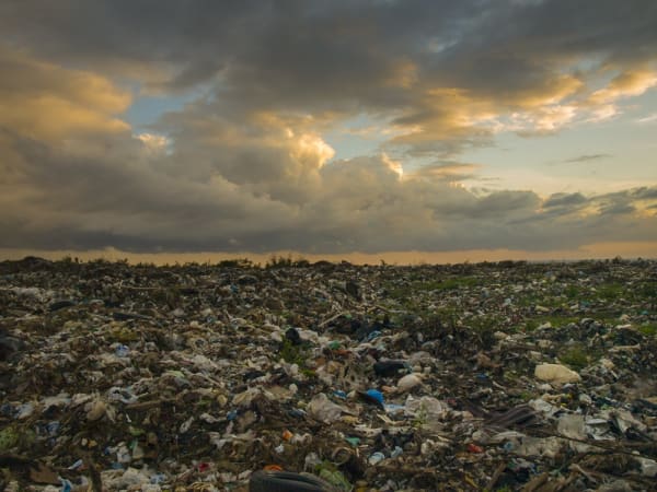 Michel Pou Diaz, Politica #1