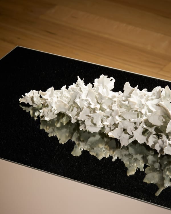 Christine Shomit Degrees Install 004