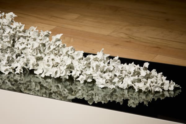 Christine Shomit Degrees Install 005