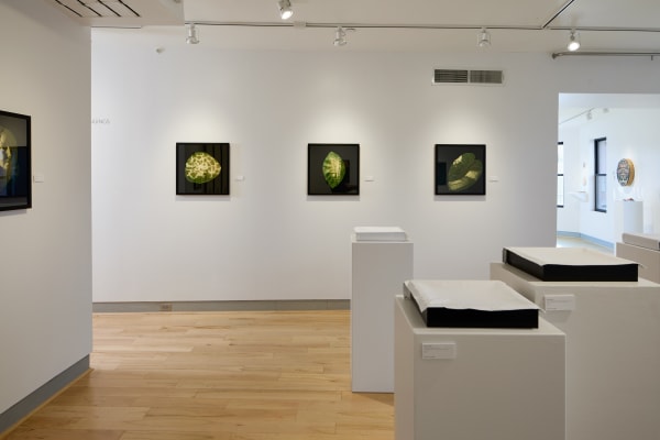 Megan Bent Install 11 05 2022 024