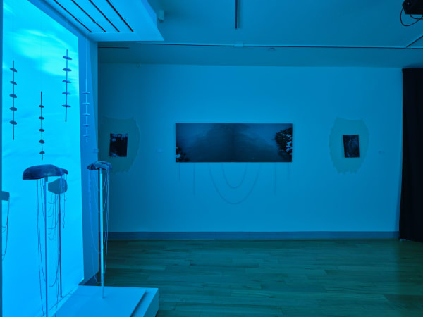 2024 05 17 Gathering Places Install Up 007