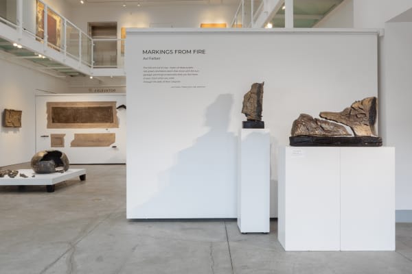 Avi Farber Installation 01