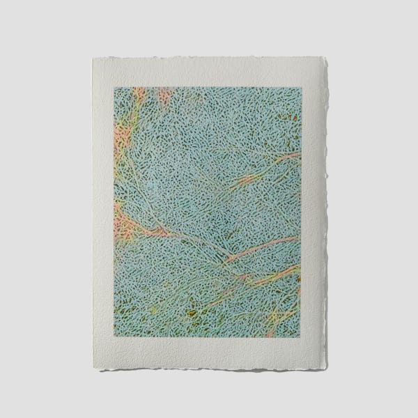 Lynda Fay Braun at Form & Concept Gallery