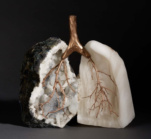 Debra Baxter at form & concept