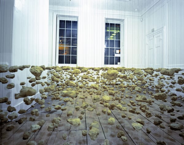 Cornelia Parker