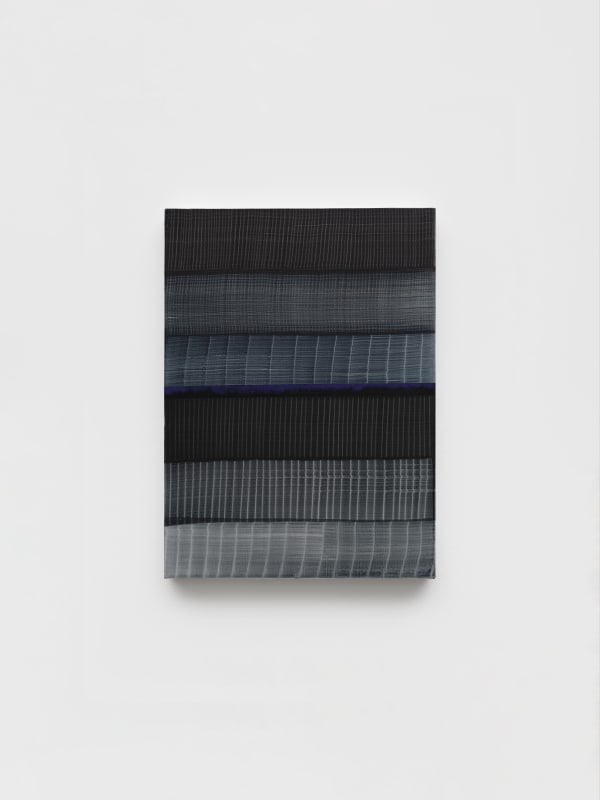 Abriendo la imagen, 2025