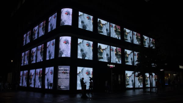 Tacita Dean, An Organised Whole (Tate Modern 21 Years), 2021 displayed via 36 LED screens at Flannels flagship store. Photo: Ben Waugh