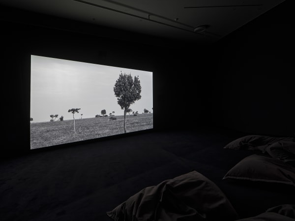 Fiona Tan, Footsteps, 2022, exhibition Fiona Tan, Mountains and Molehills, Eye Filmmuseum Amsterdam, 2022 Photo: Studio Hans Wilschut Courtesy Frith Street Gallery, London.