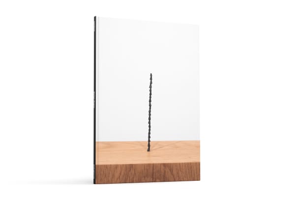 Visualisation courtesy of Ridinghouse for Shilpa Gupta: Sun at Night (Ridinghouse and Barbican Centre, 2021)