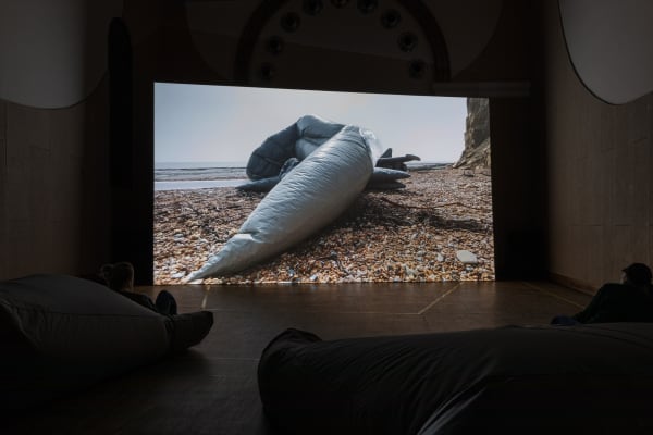 Fiona Banner aka The Vanity Press, Pranayama Organ, 2021. High definition digital film 10:38 mins. Soft Parts: Wing, Flap, Fin,...