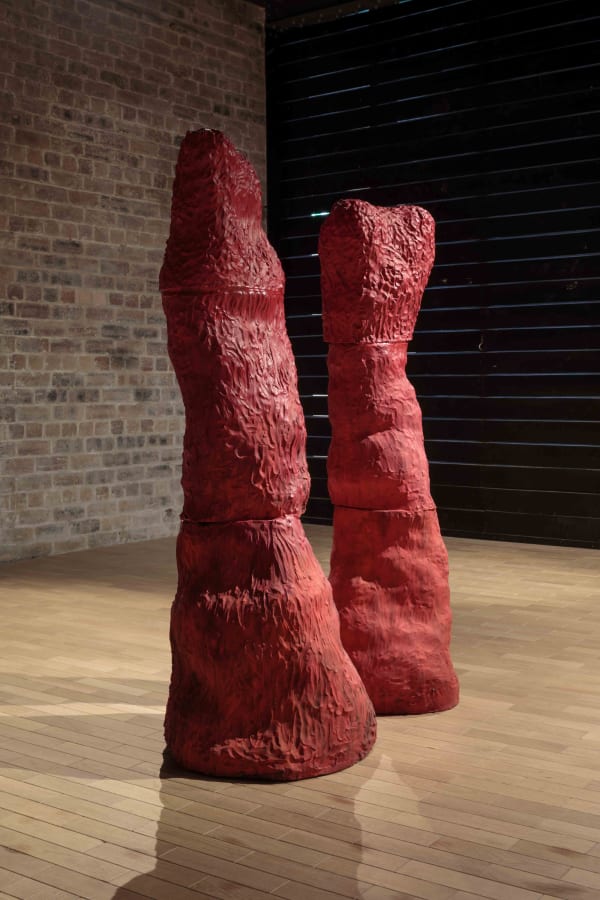 Installation view, Daniel Silver: Looking, Fruitmarket Edinburgh 2022. Photo: Ruth Clark